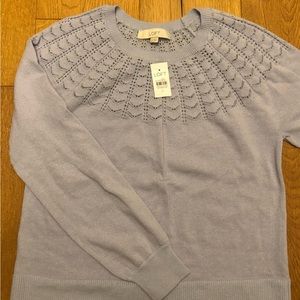 Lightweight Loft Sweater (Medium)